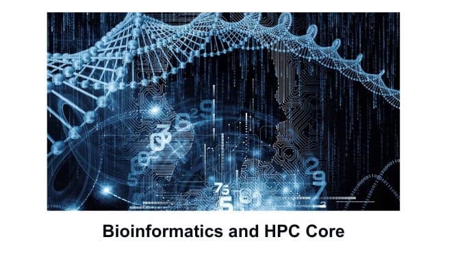 photo of UHN's Bioinformatics and HPC Core