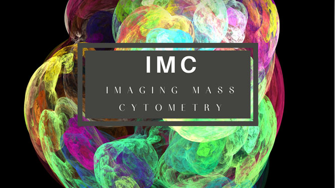 photo of Imaging Mass Cytometry